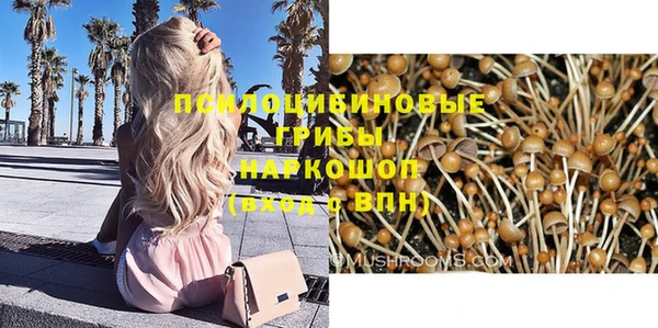 прущий лед Армянск