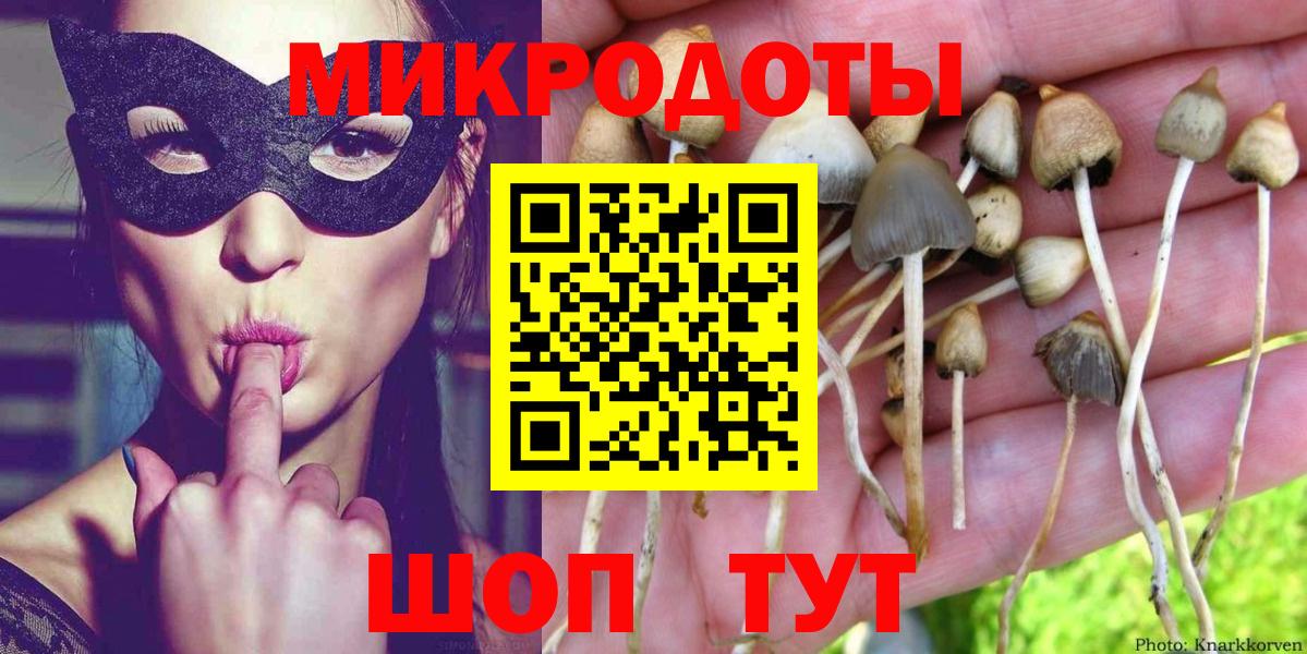 Псилоцибиновые грибы Psilocybe Железноводск