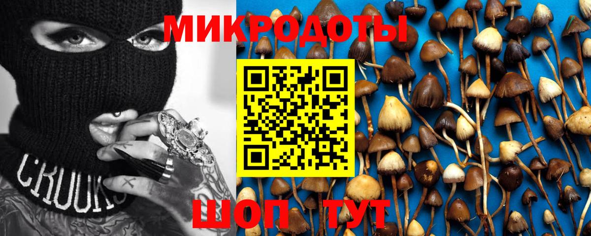 что такое   Галлюциногенные грибы MAGIC MUSHROOMS  Железноводск  Вход с VPN  Псилоцибиновые грибы Psilocybine cubensis 