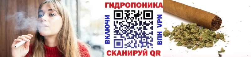 Марихуана планчик  Железноводск 
